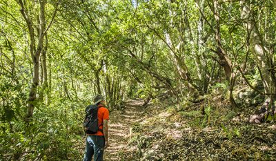 Nature experiences - Anaga Country Park - 2 - vs2