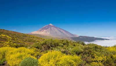 Nature experiences - Teide National Park - 1