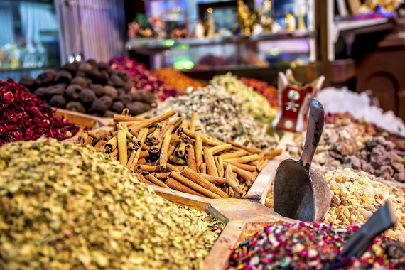 Nordic influencers experiencing Dubai off the beaten path