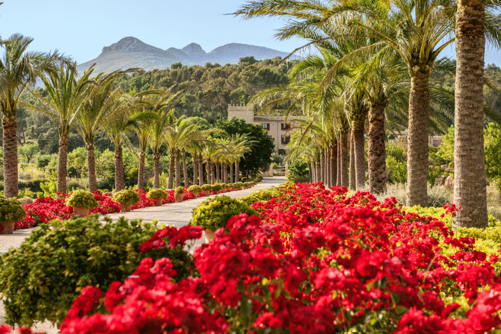 Press and influencer trips for boutique hotel