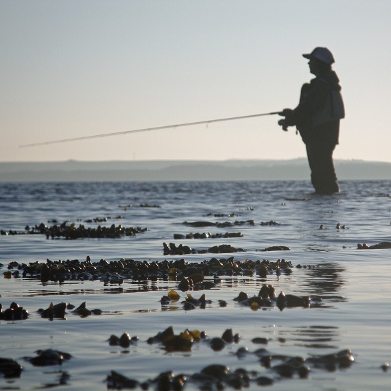 New branding platform for Enjoy Limfjorden