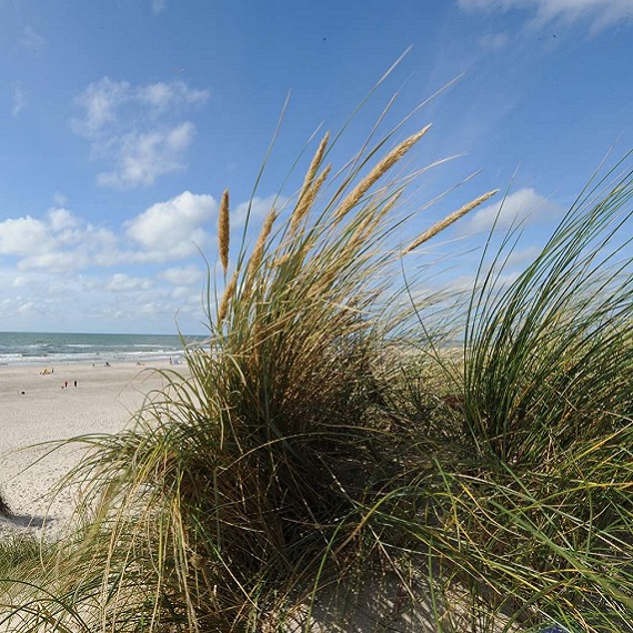 PR representative for South West Denmark
