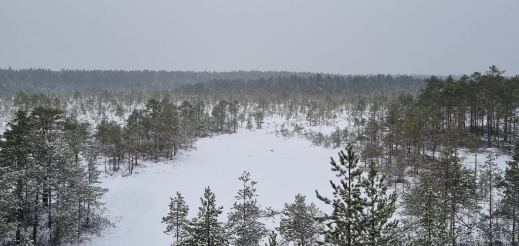 Magical Christmas fam trip to Estonia
