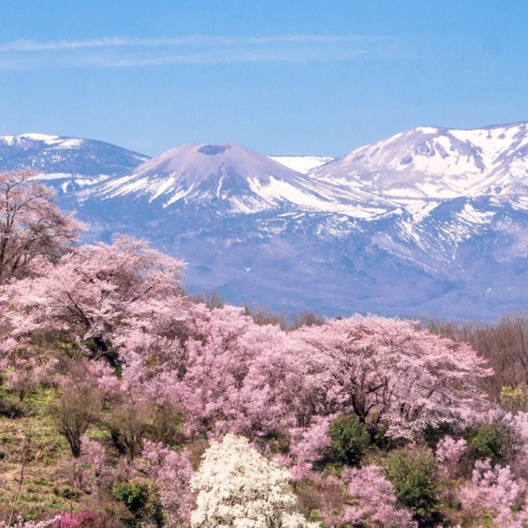 0000000_Hanamiyama_Park_in_Fukushima_City_AA2227_03_efbwsy